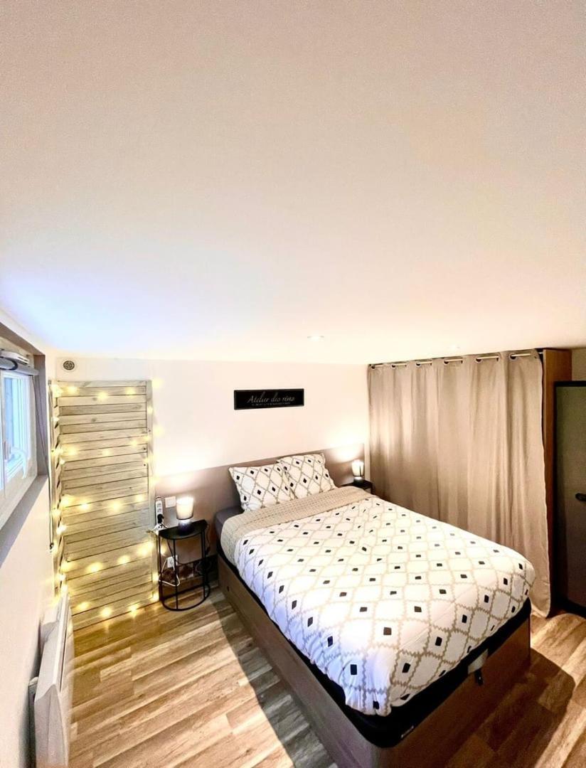 Le Camille Charming With Garden 5 Min Chu Διαμέρισμα Πουατιέ Εξωτερικό φωτογραφία